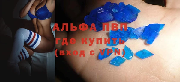 индика Баксан