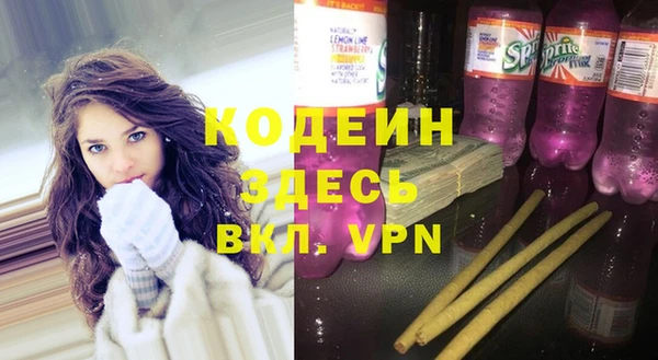 индика Баксан