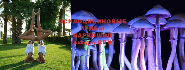 индика Баксан