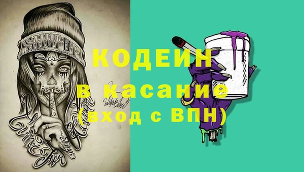 индика Баксан