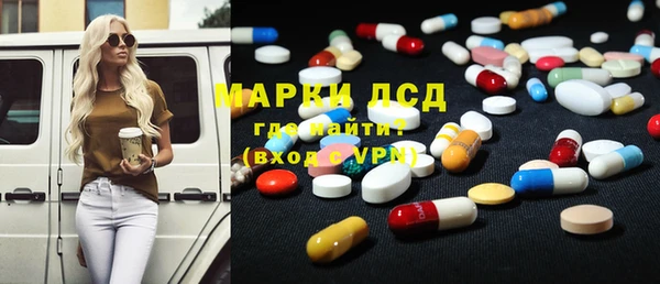 индика Баксан