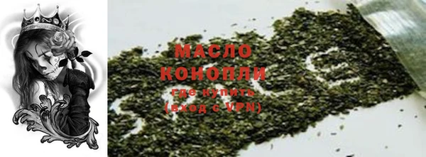 индика Баксан