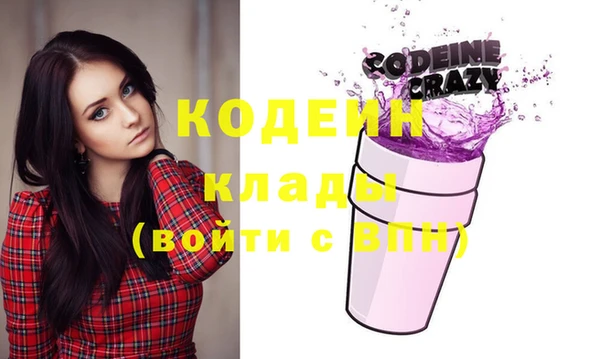 индика Баксан